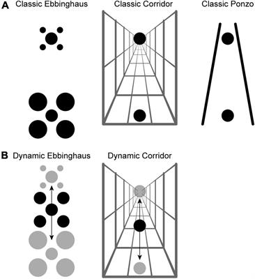 The combination of target motion and dynamic changes in context greatly enhance visual size illusions